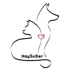 HAYSUDER logosu